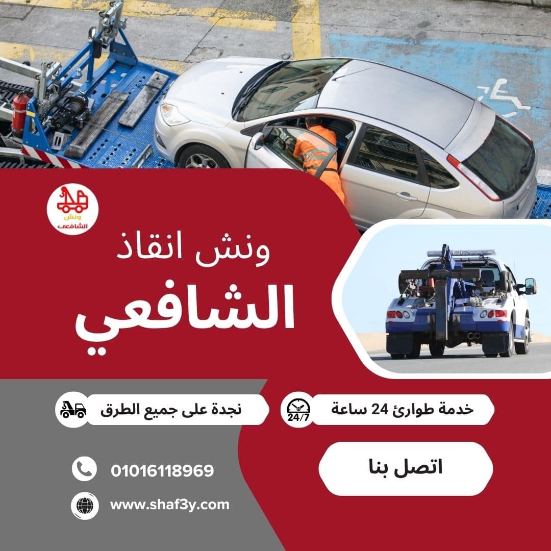 ونش انقاذ في وصلة دهشور