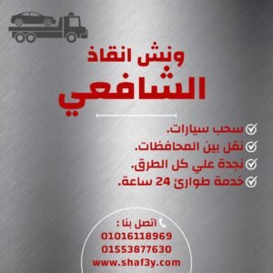 ونش انقاذ محطة الرمل